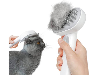 Grooming brush ￼